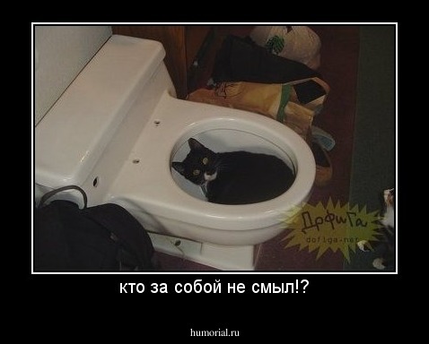 кто за собой не смыл!?