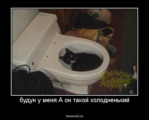 будун у меня.А он такой холодненький