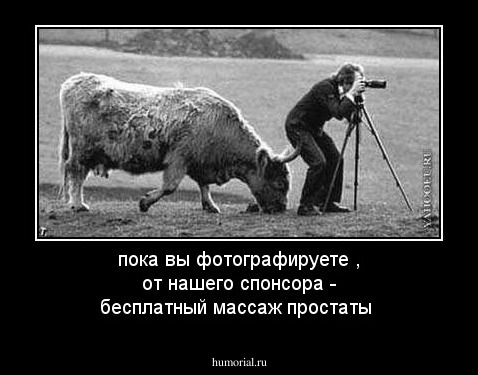 пока вы фотографируете , от нашего спонсора  - бесплатный массаж простаты