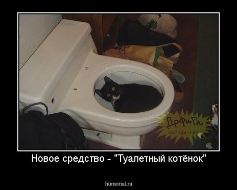 Новое средство - "Туалетный котёнок"