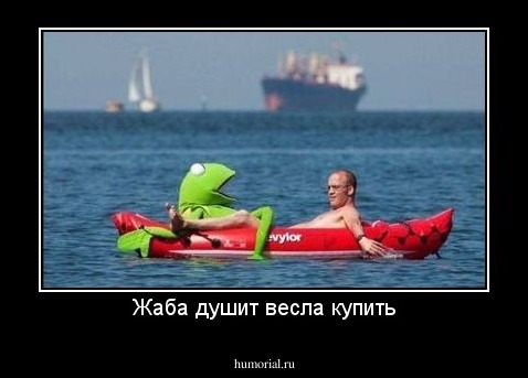 Жаба душит весла купить