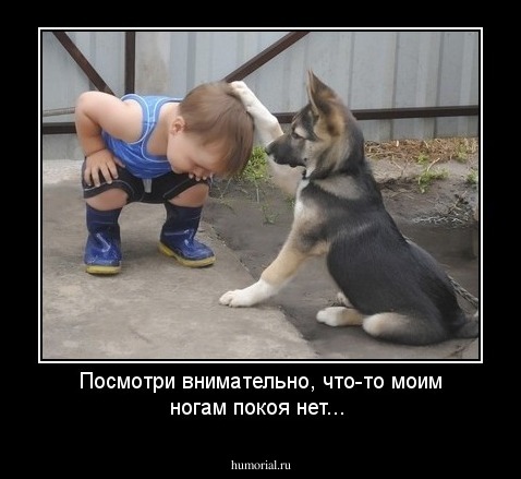Посмотри внимательно, что-то моим ногам покоя нет...