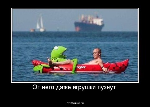 От него даже игрушки пухнут 