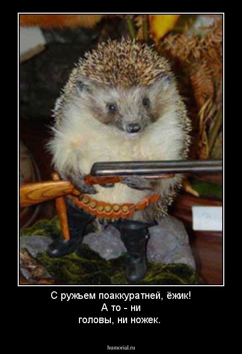 С ружьем поаккуратней, ёжик! А то - ни головы, ни ножек.