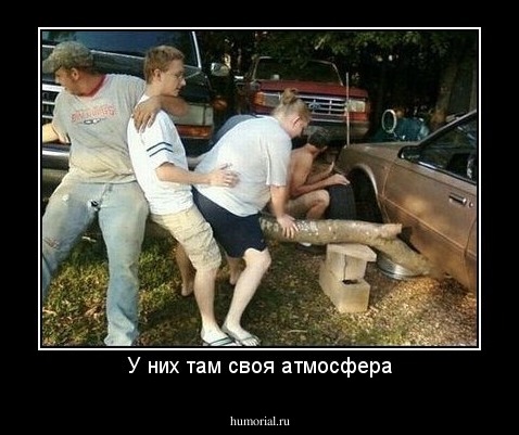 У них там своя атмосфера