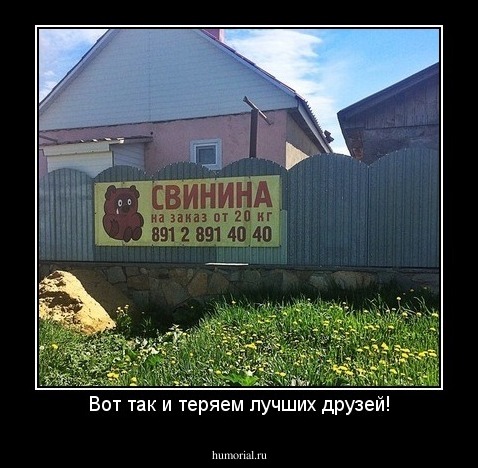 Вот так и теряем лучших друзей!