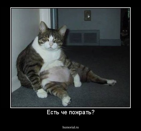 Есть че пожрать?
