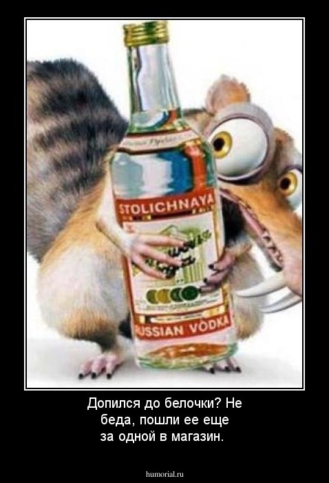 Допился до белочки? Не беда, пошли ее еще за одной в магазин.