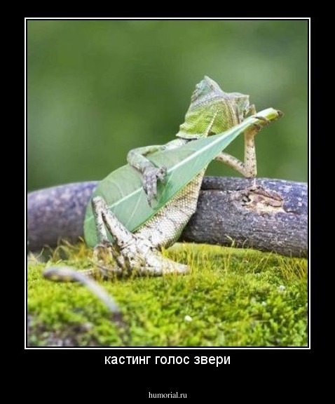 кастинг голос звери