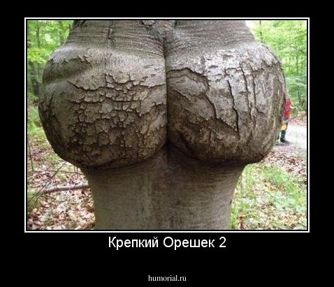 Крепкий Орешек 2