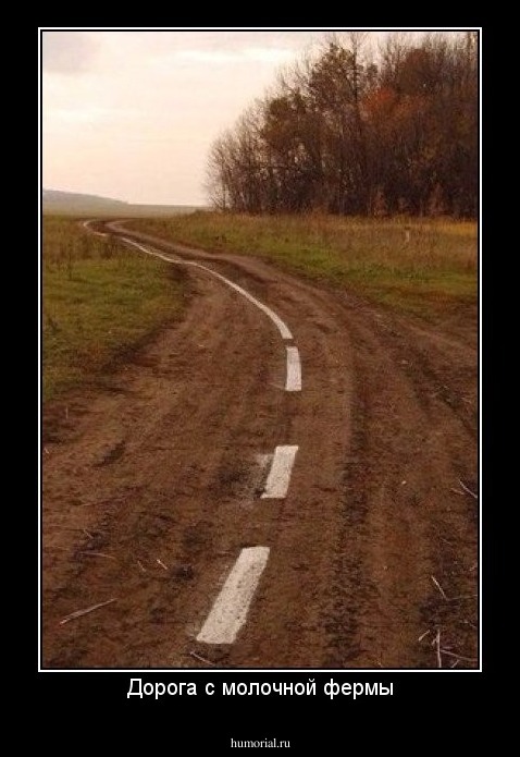 Дорога с молочной фермы