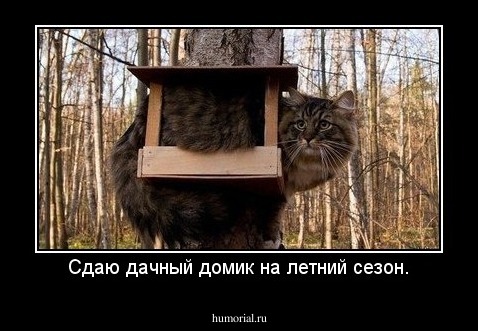 Сдаю дачный домик на летний сезон.