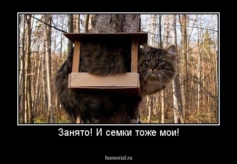Занято! И семки тоже мои!