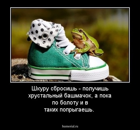 Шкуру сбросишь - получишь хрустальный башмачок, а пока по болоту и в таких попрыгаешь.