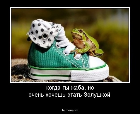 когда ты жаба, но очень хочешь стать Золушкой