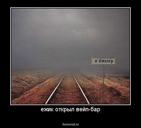 ежик открыл вейп-бар