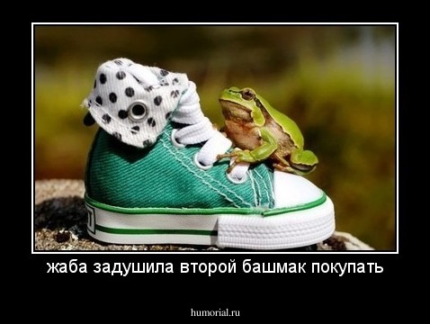 жаба задушила второй башмак покупать