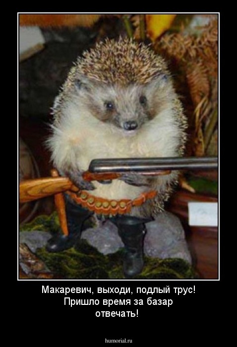 Макаревич, выходи, подлый трус! Пришло время за базар отвечать!