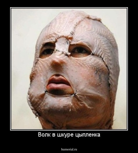 Волк в шкуре цыпленка
