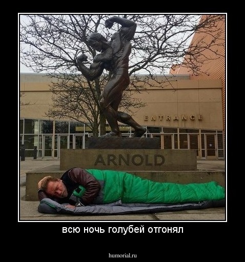 всю ночь голубей отгонял