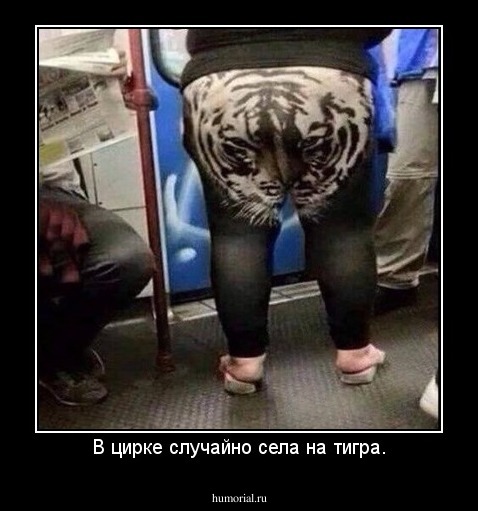 В цирке случайно села на тигра.