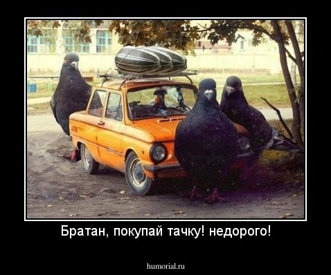 Братан, покупай тачку! недорого!