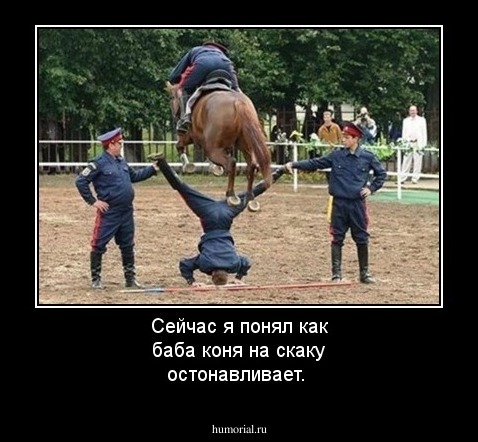 Сейчас я понял как баба коня на скаку остонавливает. 