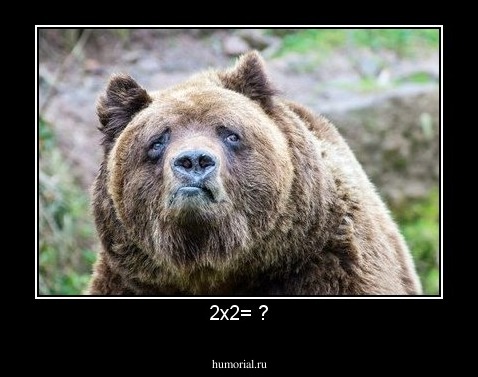 2х2= ?