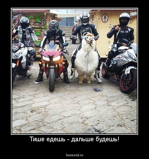 Тише едешь - дальше будешь!