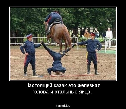 Настоящий казак это железная голова и стальные яйца.