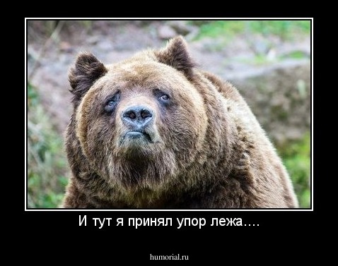 И тут я принял упор лежа....