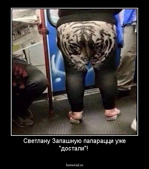 Светлану Запашную папарацци уже "достали"!