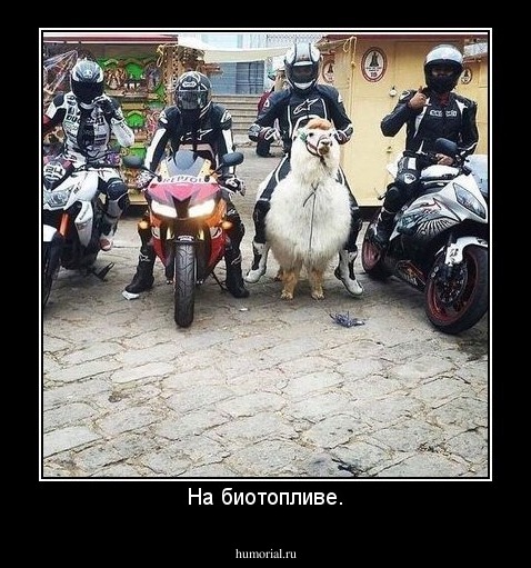 На биотопливе.
