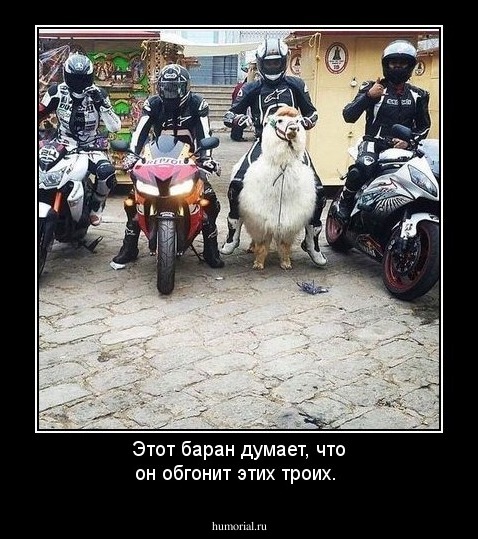 Этот баран думает, что он обгонит этих троих.