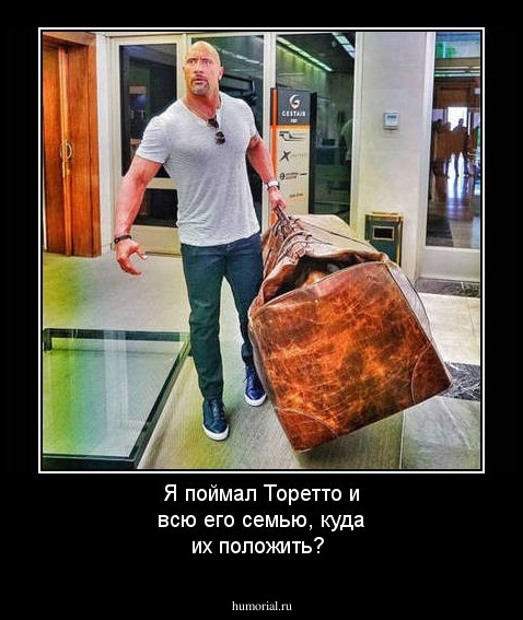 Я поймал Торетто и всю его семью, куда их положить?