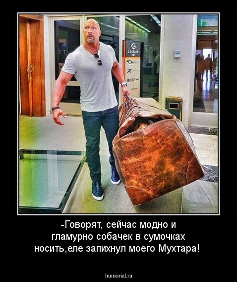 -Говорят, сейчас модно и гламурно собачек в сумочках носить,еле запихнул моего Мухтара!
