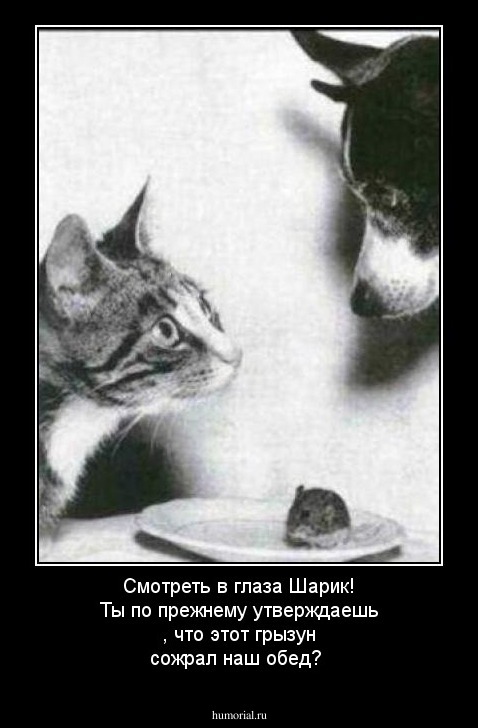 Смотреть в глаза Шарик! Ты по прежнему утверждаешь , что этот грызун сожрал наш обед? 