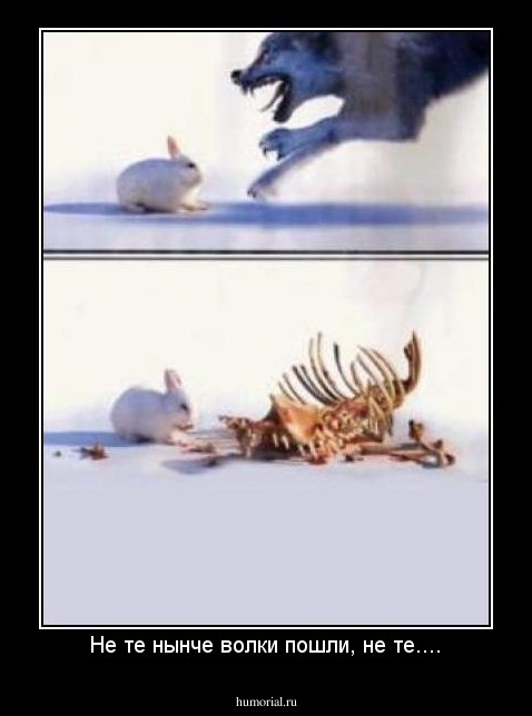 Не те нынче волки пошли, не те....