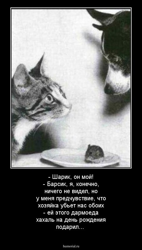 - Шарик, он мой!
- Барсик, я, конечно,  ничего не видел, но  у меня предчувствие, что хозяйка убьет нас обоих -  ей этого дармоеда хахаль на день рождения  подарил...