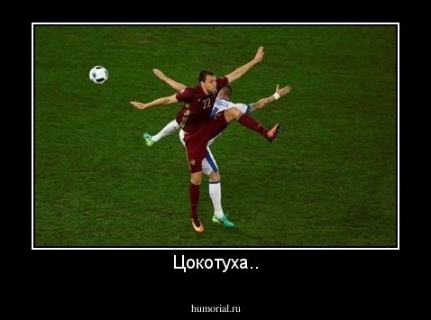 Цокотуха..