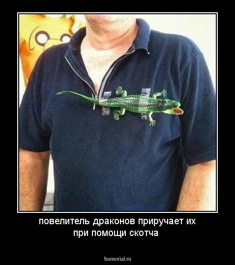 повелитель драконов приручает их при помощи скотча 