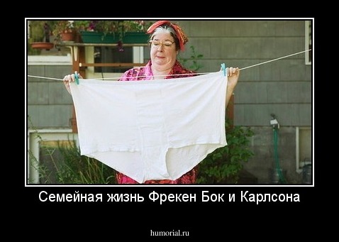 Семейная жизнь Фрекен Бок и Карлсона