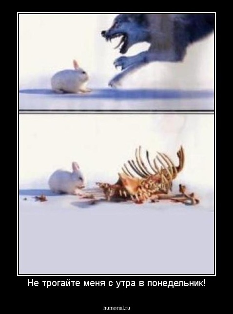 Не трогайте меня с утра в понедельник!