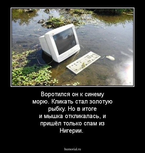 Воротился он к синему морю. Кликать стал золотую рыбку. Но в итоге и мышка откликалась, и пришёл только спам из Нигерии.