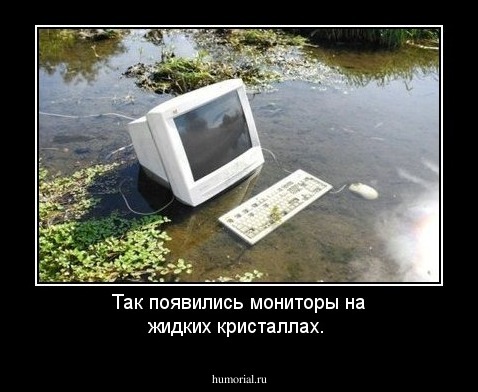 Так появились мониторы на жидких кристаллах.