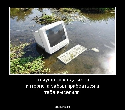то чувство когда из-за интернета забыл прибраться и тебя выселили 