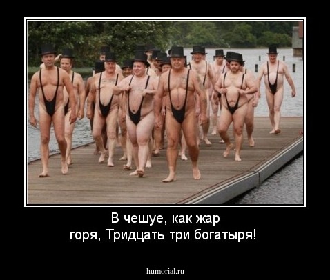 В чешуе, как жар горя,
Тридцать три богатыря!