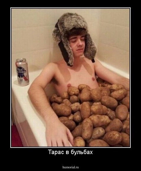 Тарас в бульбах