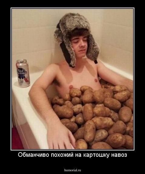 Обманчиво похожий на картошку навоз