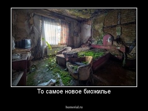 То самое новое биожилье